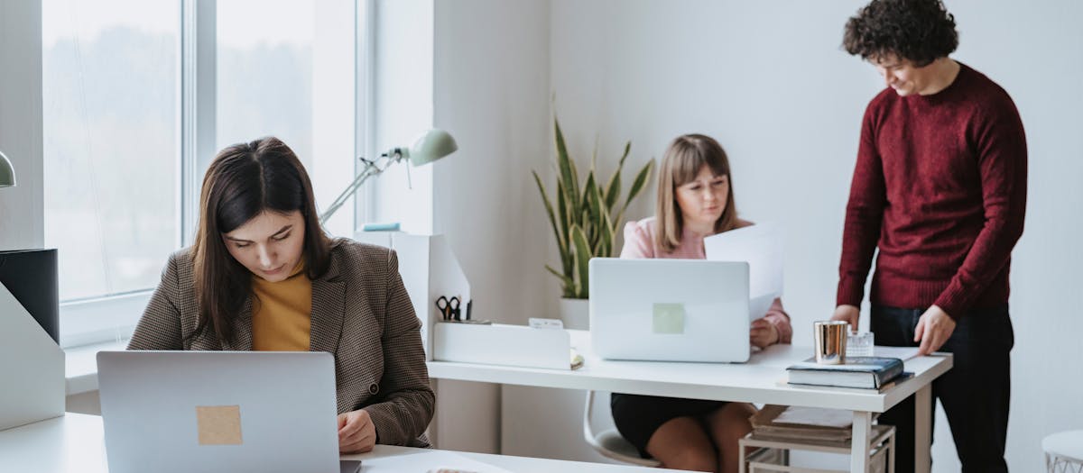 Group of colleagues working together in a bright, modern office space with laptops.